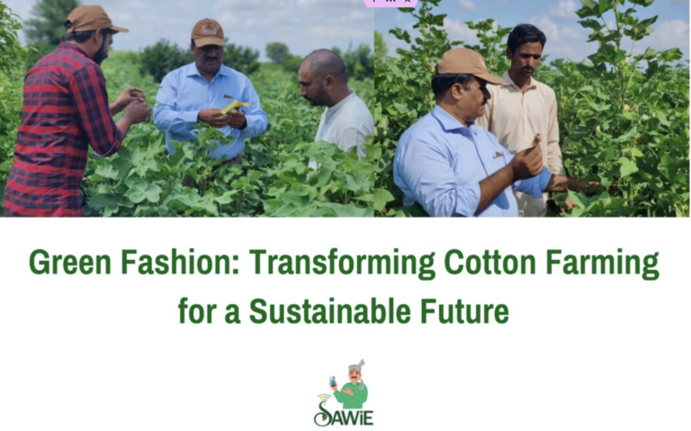 Green Fashion: Transforming Cotton Farming for a Sustainable Future